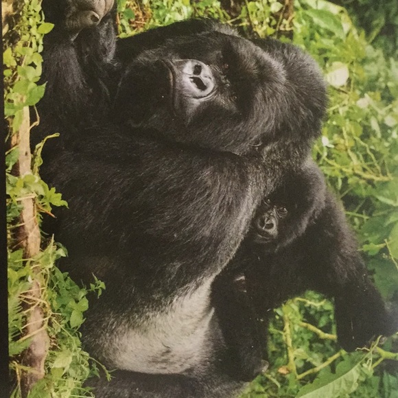 Meet your Posher, Jo ann - Picture 1 of 1